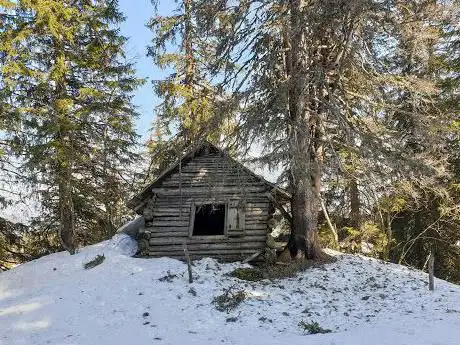 La Soldanelle