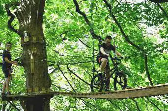 Photo de Acro'Liane