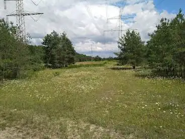 Photo de Viernheimer Heide