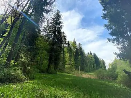 Photo de Totentäli