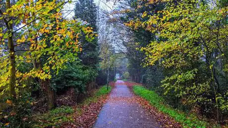 Photo de Spring Wood
