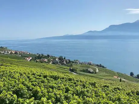Photo de Grand Tour Of Switzerland Lavaux