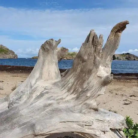 Plage de Pompierre