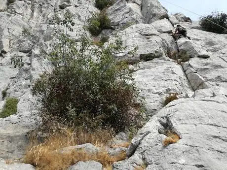 Photo de La Dalle à L'oiseau