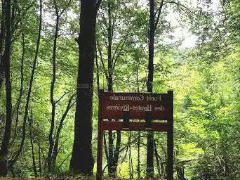 Foret Communale des Hautes-Rivieres