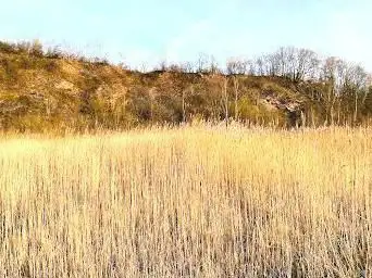 Réserve naturelle Brun Chêne