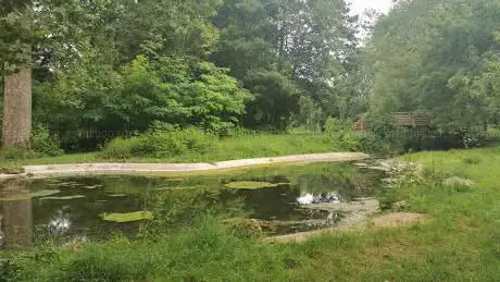 Photo de Parc des Cèdres