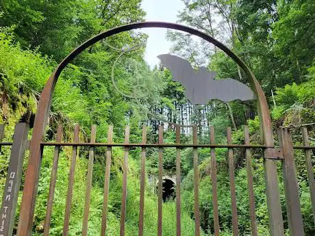 Fledermaustunnel