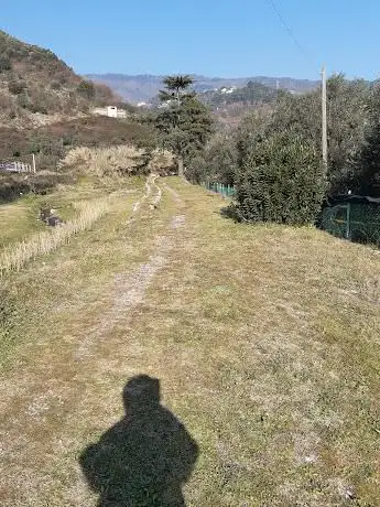 Passeggiata lungofiume