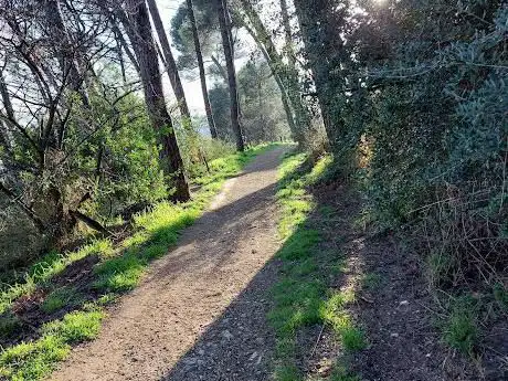 Photo de Riserva naturale di Monte Mario