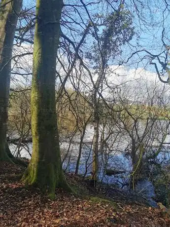 Photo de Movanagher forest
