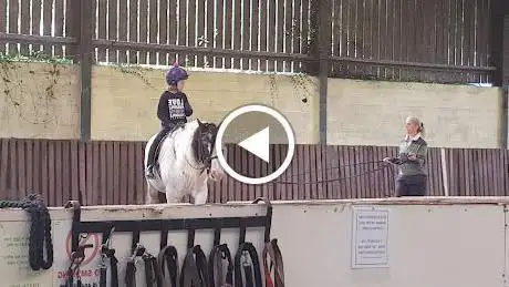 Easter Hall Park Stables