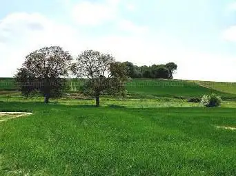 Photo de Hawthorn Ridge Crater