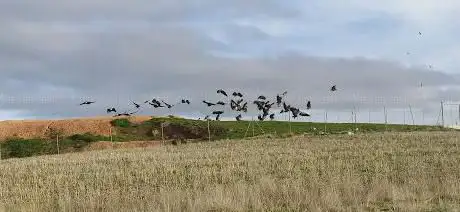 Photo de Muladar de Mecerreyes