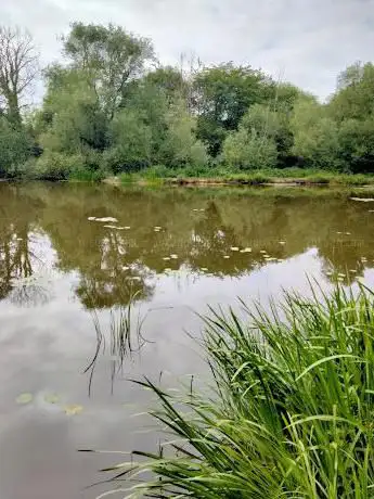 Photo de Mousecroft Community Woodland