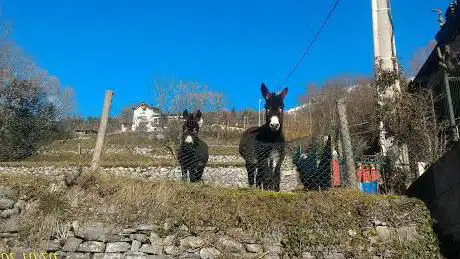 Photo de Campo Del Piano E Valli