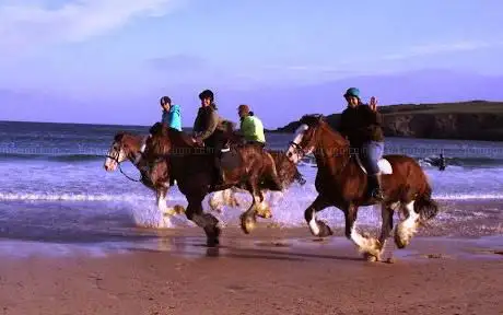 Adventure Clydesdale