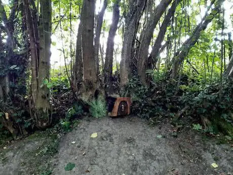 Photo de Steventon Copse
