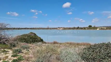 Photo de Riserva Naturale Orientata Salina Monaci