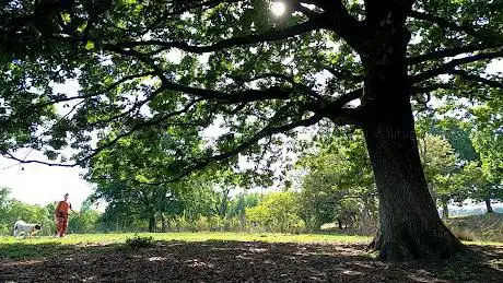 Photo de Area picnic Baraggia Candelo