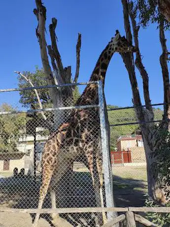 Photo de Naples Zoo