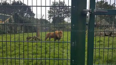 Photo de Blackpool Zoo Playbarn