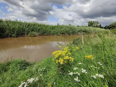 De Dijlemeander