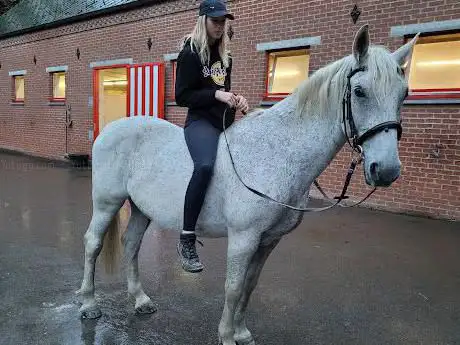 Centre Equestre de Thieusies