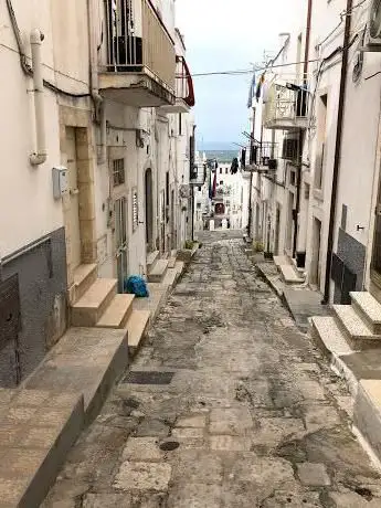 Photo de Associazione di Lingue e Culture - Casa di Puglia