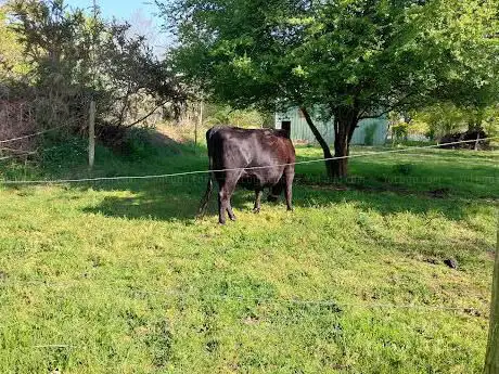 La Ferme Pédagogique de Saint Niau