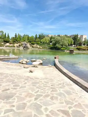 Photo de Lago del parque Feliciano Hernández