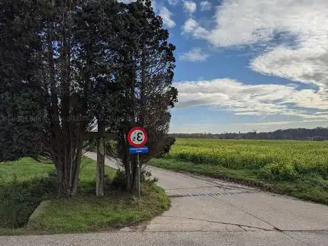 Kruis