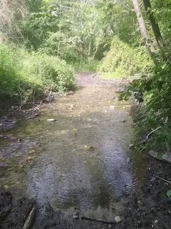 Photo de Bosco delle Faggiole