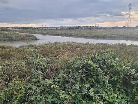 Photo de The River Cray Confluence
