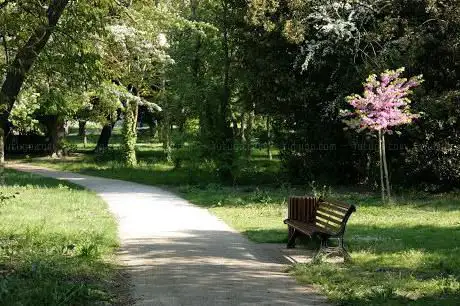 Photo de Parc municipal d'Angoulins