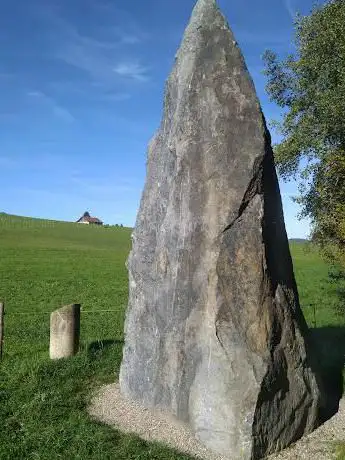 Photo de Menhir du Dos à l'Ane