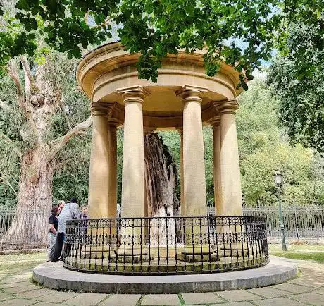 Photo de El Ãrbol Viejo