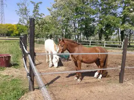 Photo de Equestrian Center Fruit