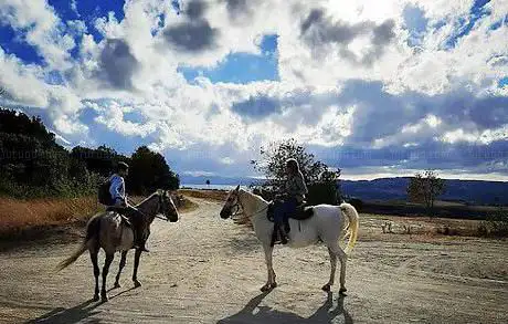 Photo de Azienda Agricola Valle Contessa Passeggiate a cavallo