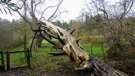 Dragon's Lair