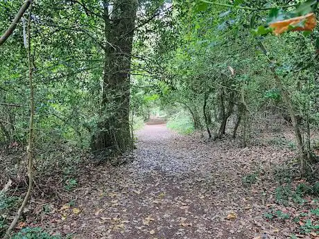 Oaklands Wood