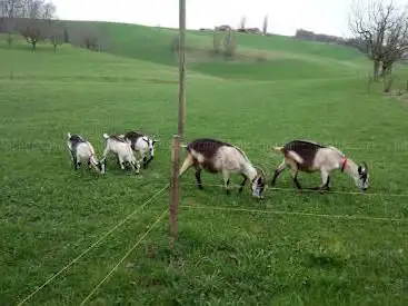 Photo de Geissenberg Neuenegg