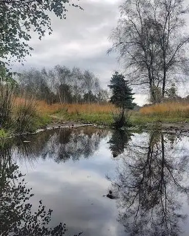 Photo de Iping and Stedham Commons