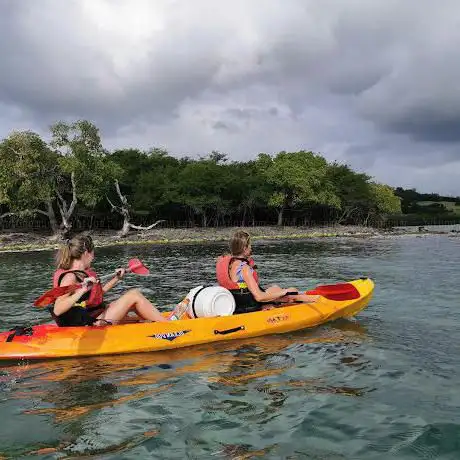 Photo de KAYAK MANGROVE MARTINIQUE