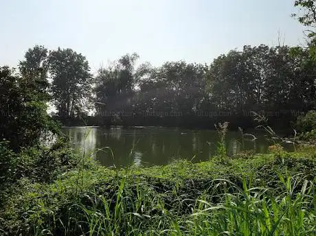 Monumento naturale Bodrio della Cà dei Gatti