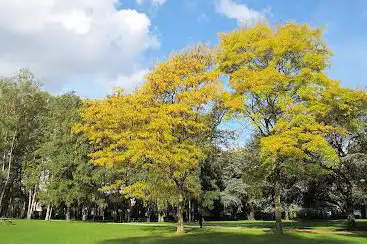 Photo de Blauwe Poortpark
