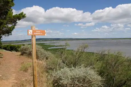 Photo de Etang de Vendres