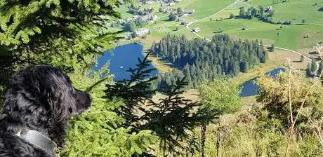 Seichbergloch (HÃ¶hleneingang)