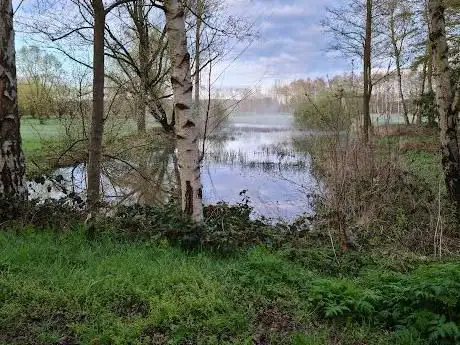 Demerbroeken
