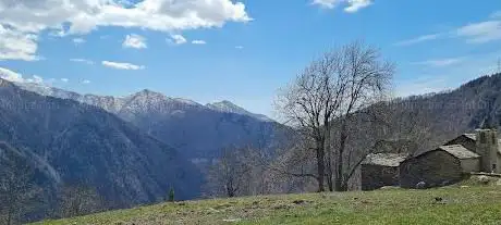 Nivolastro